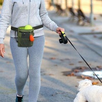 Sac à dos pour animaux de compagnie avec logo personnalisé, sac de transport pour animaux, sac à dos pour chien, accessoires pour animaux, ceinture de taille réglable, sac de rangement pour l'entraînement