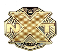 Médaille de champion des États-Unis personnalisée, drapeau américain, badge de championnat Extremes, plaqué or