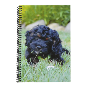 The Superior Register T-Puppy Puppy Check and Debit Card Register Digital Printing Paper <b>Spiral</b> <b>Bound</b> <b>Notebook</b> for Pet Lovers - Product Image 1