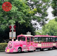 Train touristique à moteur diesel certifié CE, capacité 40 places, pour usage urbain, train sans rails, train électrique terrestre de divertissement de petite taille