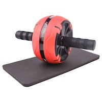 Kit de rouleaux abdominaux AB en gros, équipement d'entraînement à domicile très populaire, ensemble d'exercices pour les muscles abdominaux pour femmes avec barre de poussée