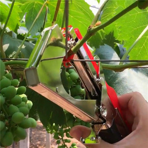 Macchina Legatrice Manuale per Piante Rampicanti, Nastro in PVC per Giardino, Serra, Frutteti, Frutta, Verdura, Fiori, Nastro per Legare Rami - Product Image 6