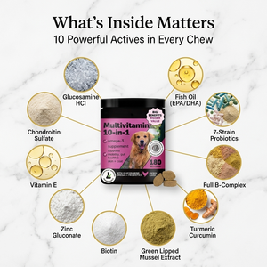 วิตามินรวม 10 in 1 สำหรับสุนัข แบบเคี้ยวเนื้อนุ่ม อาหารแห้ง พร้อมวิตามิน A D3 E B1 B6 B2 B12 ไบโอติน โอเมก้า 3 6 9 อาหารเสริมเพื่อสุขภาพสัตว์เลี้ยง - Product Image 3