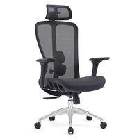 Chaise de bureau d'ordinateur nouveau design chaise de bureau ergonomique avec soutien lombaire pour de longues heures assis