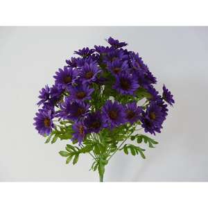 DAISY BUSH X3 PU AUT - Product Image 1