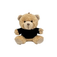Pendentif en peluche ours en peluche, porte-clés avec tenue de poupée colorée, cadeau-souvenir, jouet personnalisable avec logo imprimé, en matériau PP