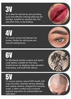 Personnalisation de la naturalité Nouvelles machines à tatouer Blink Finesse X24