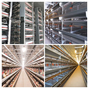 4 katmanlı katmanlı tavuk kafesi donatmak tavuk çiftliği yumurta döşeme tavuklar kafes profesyonel döşeme tavuklar tavuk kafesi tavuk çiftliği - Product Image 5