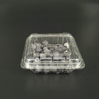 Vente en gros Boîte transparente personnalisée pour les fruits, les myrtilles, les fruits, les fraises, les cerises Emballage en plastique Contenants alimentaires Panier en coquille de palourde avec couvercles