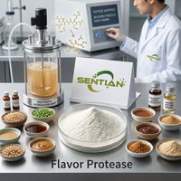 Préparation enzymatique de qualité alimentaire Flavorzyme-H pour la hydrolyse des protéines