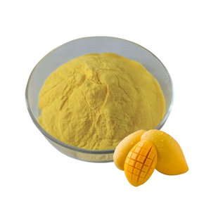 <span class=keywords><strong>Poudre</strong></span> de mangue naturelle de qualité alimentaire, <span class=keywords><strong>poudre</strong></span> de jus de mangue certifiée Halal - Product Image 2