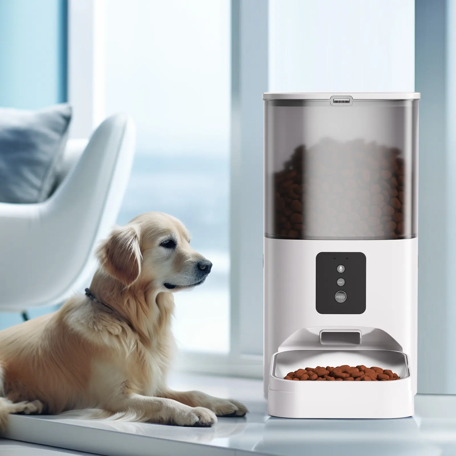 Alimentador inteligente para animais de estimação, com Wi-Fi automático, Tuya, ajuste de ajuste de refeições, gravação de voz, 6L, recém-lançado