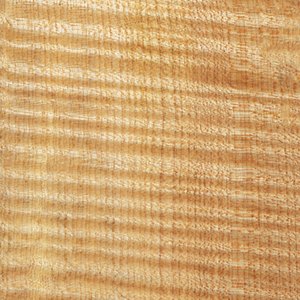 NAOMI AA Madera de Arce Europeo Flameado Encerado para Fondo de Violín 4/4-1/8, para Fabricación de Violines, Replicación de Stradivarius y Construcción de Mandolinas - Product Image 6