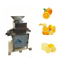 Presse industrielle à froid à double rouleau, extracteur lent commercial pour jus de fruits, citrons, agrumes et oranges