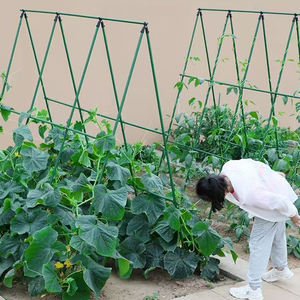 Soporte de jardín de metal verde <span class=keywords><strong>redondo</strong></span> moderno con tubo de acero revestido, planta de flor duradera, vid, rosa, pepino, pérgola trepadora, <span class=keywords><strong>Poste</strong></span> de soporte - Product Image 6