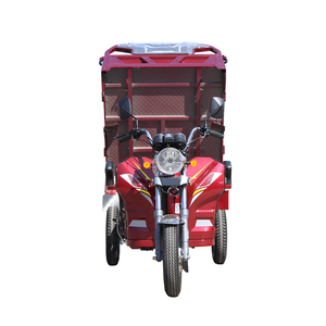รถสามล้อเครื่องยนต์สำหรับผู้ใหญ่แบบเปิดประทุน - Product Image 1