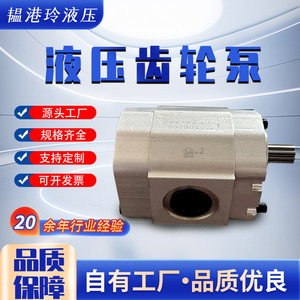 Pompe à engrenages hydraulique Lingxuan 14 pouces verticale électrique pour colonnes de levage haute pureté - Product Image 4