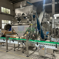 Peseuse linéaire automatique à 2 têtes de grande capacité (30 L) pour sel, graines, riz, sésame et MSG