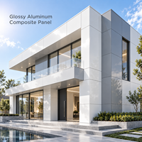 Panneau composite en aluminium brillant 4 mm, taille personnalisée, revêtement FEVE, panneau ACM couleur champagne pour revêtement mural extérieur