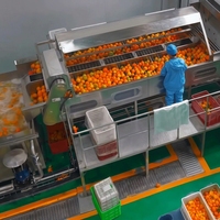 Turnkey volautomatische appelsap productielijn met CIP-reiniging en UHT-sterilisatie