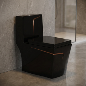 Elongated Designer Color Ceramic One Piece WC Floor Mounted Western Water Closet Toilet Bathroom Commode - Product Image 1