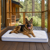 Matelas rafraîchissant en silicone pour chien, avec support épais, idéal pour l'extérieur en hiver (vente en gros)