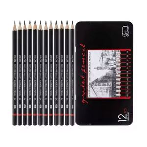 Kit d'art pour étudiants professionnels : 12 crayons hexagonaux pour dessin et croquis, idéal pour artistes - Product Image 1