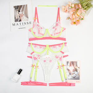 Nouvel ensemble de lingerie féminine érotique avec broderie en forme de cœur, vente chaude, ensemble soutien-gorge et culotte en maille transparente - Product Image 6