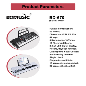 Piano numérique électronique portable BD MUSIC BD-670 à 61 touches avec éclairage LED, orgue électrique, clavier en plastique, instrument avec haut-parleur intégré - Product Image 3