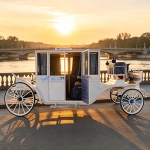 Chariot royal électrique blanc pur, best-seller annuel, chariot de mariage, chariot de tourisme, chariot de luxe personnalisé - Product Image 3