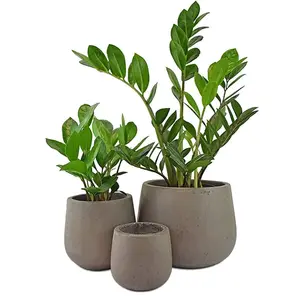 Set of 3 Round Cement Century Planters Includes Plant Pots, Natural Cement