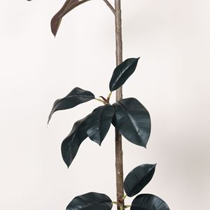 Arbre Artificiel Dream Castle Simulé Black King Kong 100cm-200cm Décoration Intérieure Extérieure Plante Bionique - Product Image 2