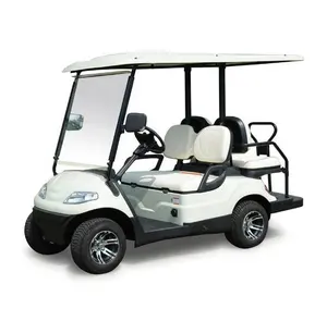 HX Golf Cart With Curtis Electric Car Conversion Kit