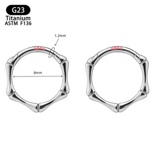 Anneau de nez en titane G23, style bambou, conforme à la norme ASTM F136, bijou de piercing géométrique pour septum, unisexe - Product Image 2