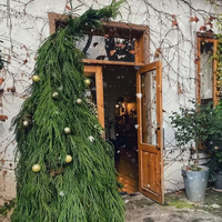 Kerstdecoratiemateriaal: Echte, natuurlijke, geconserveerde cipressen en natuurlijke dennen voor bruiloft- en huisdecoratie
