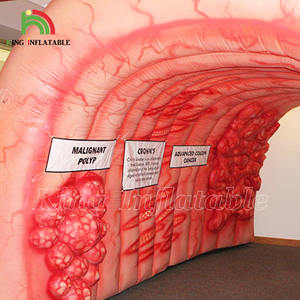 Túnel Inflable de <span class=keywords><strong>Colon</strong></span>, Órgano Intestinal Grande, para Exhibiciones Médicas, Eventos Hospitalarios y Centros Médicos - Product Image 5