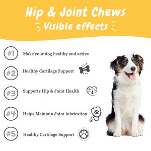 Suplemento Funcional para Perros de Marca Privada, Golosinas Masticables para la Cadera y las Articulaciones, Alivio del Dolor Articular, Mejora la Movilidad, Mantiene la Salud de las Huesos y las Articulaciones - Product Image 4