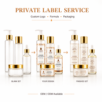 Ensemble de soins éclaircissants à la niacinamide, adapté aux peaux foncées et mates, soin du visage, hydratant et revitalisant, usine OEM