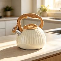 Carafe à café en acier inoxydable de 3,0 L avec long bec verseur, conçue pour les occasions familiales, la décoration de restaurants et les cuisines rustiques