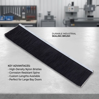 Brosse à ruban industrielle durable en acier/nylon pour l'étanchéité des portes, le nettoyage et la prévention de la poussière, longueurs personnalisées