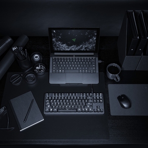 High Quality Blackwidow Lite with Fei Min <b>Recording</b> Function Mute Mechanical Wired Keyboard Kb2654s-my Razer Blackwidow Lite - Product Image 2
