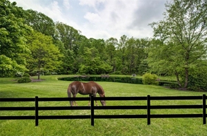 A cerca resistente do cavalo almofada o pvc, altura ajustável para a segurança do estábulo & do pasto - Product Image 2