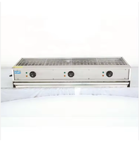 Barbecue commercial populaire en acier inoxydable avec brûleur infrarouge à gaz et chauffe-plats