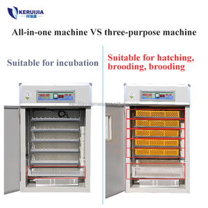 1584 Gà Trứng Lồng Ấp Hatcher Cho Bán/Gia Cầm Lồng Ấp/Trứng Hatching Máy Gia Cầm Lồng Ấp Máy - Product Image 3