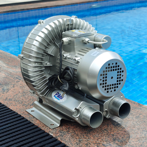 Vente en gros PIKES 50HZ 60HZ Pompe soufflante industrielle pour piscines Outils et accessoires de <span class=keywords><strong>piscine</strong></span> - Product Image 6