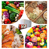 Déshydrateur alimentaire pour fruits et légumes séchoir solaire fruits et légumes séchoir à bande en maille commercial fruits et légumes