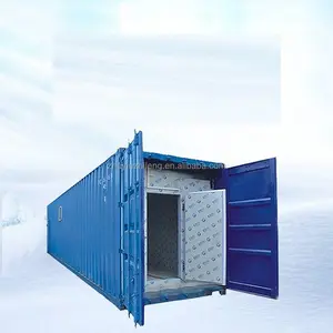 Customized Walk in Chiller freezer container 20ft cold storage room
