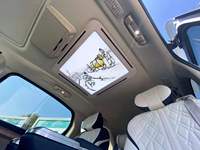 Lampe de plafond pour fourgonnette professionnelle avec plusieurs couleurs au choix
