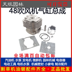 Bloque de Cilindros 1E48F, Conjunto de Cilindros para Motor de 2 Tiempos, para Piezas de Máquinas Perforadoras de Tierra - Product Image 5