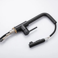 Robinet de cuisine moderne en acier inoxydable brossé or et noir, avec cartouche céramique, poignée unique, design de luxe à ressort extractible